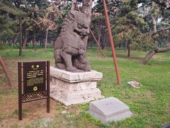 -北陵公园
