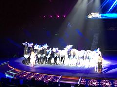 -珠海横琴长隆《卡卡虎奇遇记》