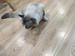 -白兔子密室(长寿路店)