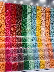 -THE COLORIST调色师