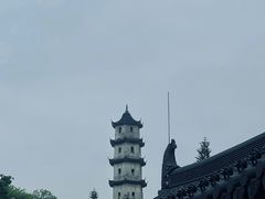 -江心屿景区