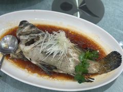 游水珍珠龙趸-益健名厨海鲜城(夏湾店)