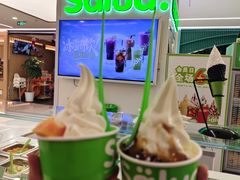 -Salud撒露欧洲冻酸奶(五道口购物中心店)