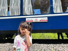 -莫尔道嘎国家森林公园