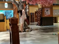 -大江户·温泉洗浴(浑南店)