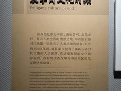 -平原博物院