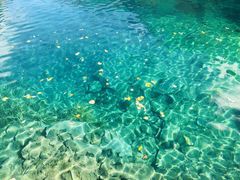 -叠溪松坪沟景区