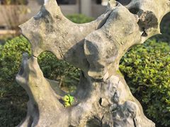 -杭州西子湖四季酒店-WL BISTRO西湖餐厅