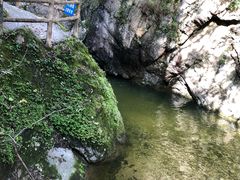 -牛背梁国家森林公园