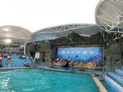 -合肥野生动物园
