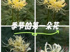 -白塘生态植物园