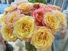 -双季花艺园艺市场(浦东店)