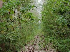 -合肥滨湖国家森林公园