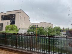 -上海崇明金茂凯悦酒店