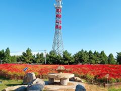 -羊亭河湿地公园