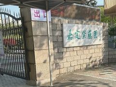 -嘉定紫藤园