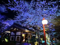 -新高轮格兰王子大酒店