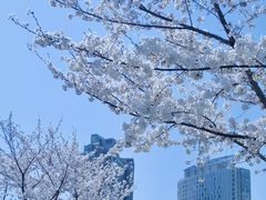 -静安雕塑公园