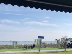 -七的湖·晚芳亭·阳澄湖农家菜·大闸蟹(莲花岛店)