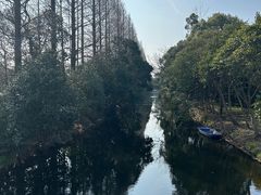 -上海滨江森林公园