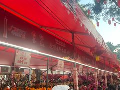 -越秀西湖花市(广州城市广场花卉店)