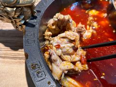 -销魂美蛙鱼头火锅(上海首店)