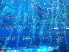 -成都浩海立方海洋公园