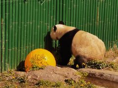 -沈阳森林动物园