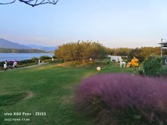 -福建鲤鱼洲酒店