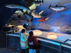 -陕西自然博物馆