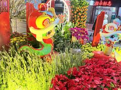 -越秀西湖花市(广州城市广场花卉店)