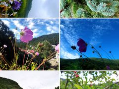 -灵山