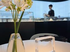 -BLACKSWAN黑天鹅(环球店)