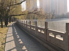 -迎泽公园