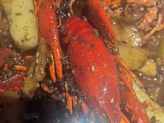 -京悦南门涮羊肉·羊蝎子火锅(田林路店)