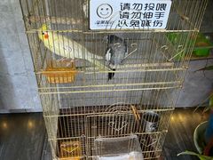 -观盐·盐帮菜(官园桥店)