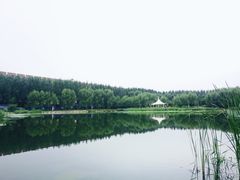 -吉林大学(前卫南区)