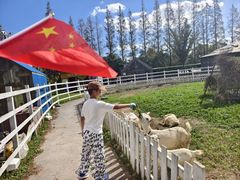 -前小桔亲子创意农场·草莓采摘·露营烧烤