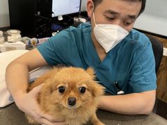 -宠颐生斯嘉宠物医院·急重症·心内科(谷阳北路分院)