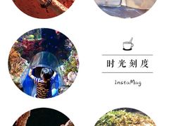 -暹罗海洋世界