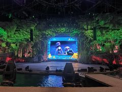 -广州长隆国际大马戏