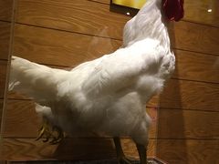 -信不信由你博物馆