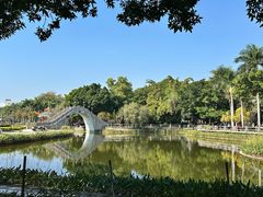 -金砂公园