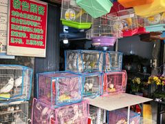 -溪岸路花鸟市场