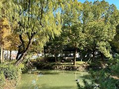 -上海醉白池公园