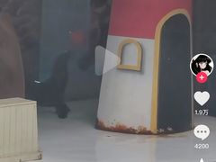 -锦艺城海洋馆