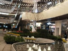 -新发展亚太JW万豪酒店·福苑咖啡厅