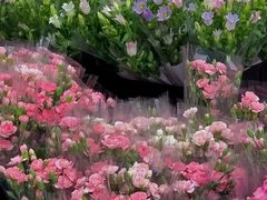 -循礼门鲜花花市(武汉循礼门店)