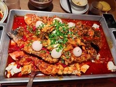 -鱼酷活鱼烤鱼(静安大融城店)
