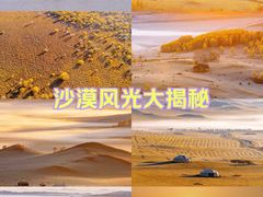 -乌兰布统草原